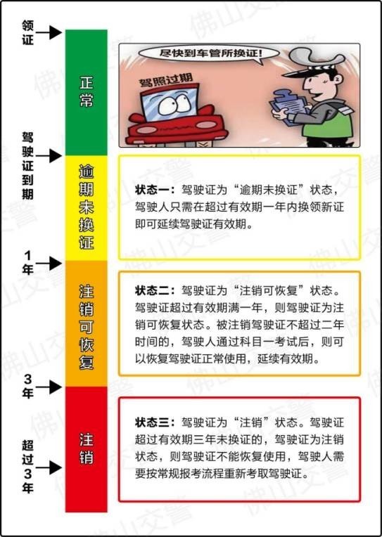 怎么查驾照成绩？别急，我把自己踩过的坑和最后管用的方法都写给你