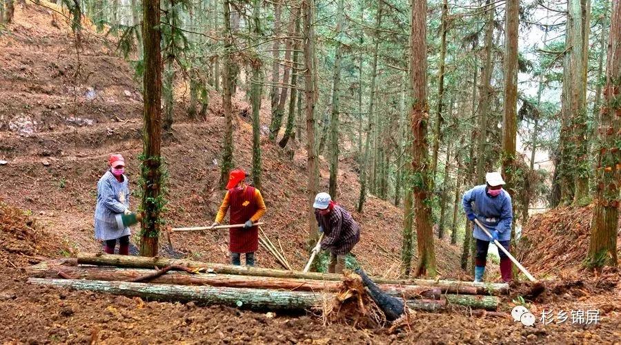 江西宜春铜鼓疫情通报，一份看得懂、用得上的身边防疫指南