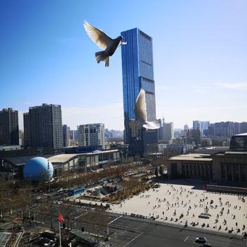石家庄解封了吗/石家庄已经解封了吗