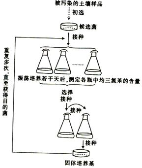不干胶怎么清理？别硬抠，我用这7个土办法和科学原理给你讲透