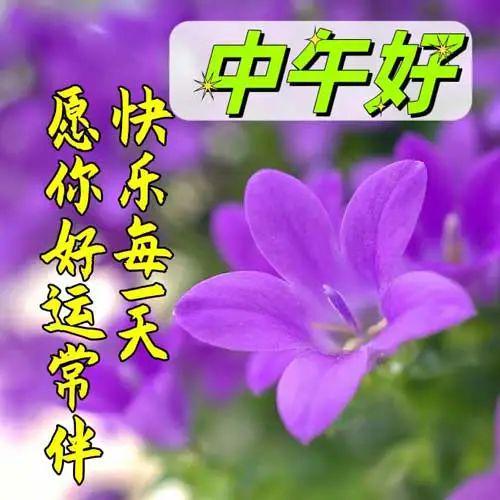 健康早安图片大全/2026最新早安平安健康图片