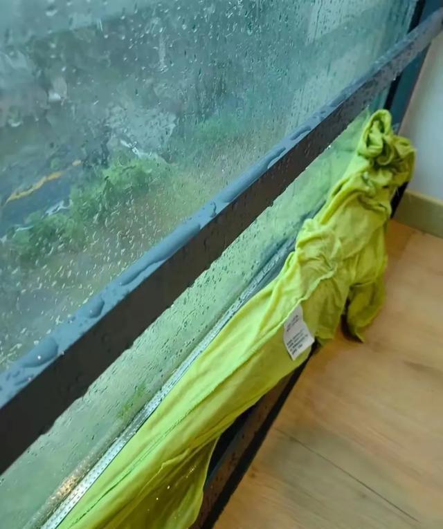 车被树砸了怎么办？别慌，先掏手机拍个照，我一步步跟你说清楚