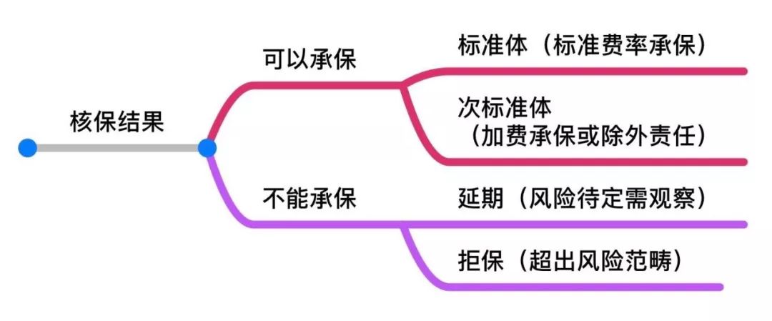 车险核保如何影响你的保费？搞懂这套体检逻辑，续保不吃亏