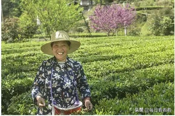 什么牌子的盐最好最健康/什么牌子的盐好吃又健康
