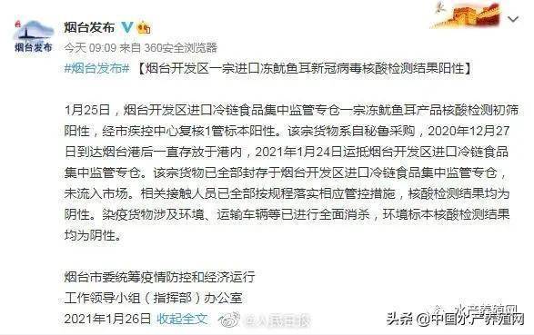 疫情检讨报告，一个普通人的复盘，也是给未来的你提个醒
