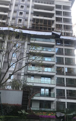 碧云东壹栋疫情，那栋楼、那些天，和我们在群里吵过的架