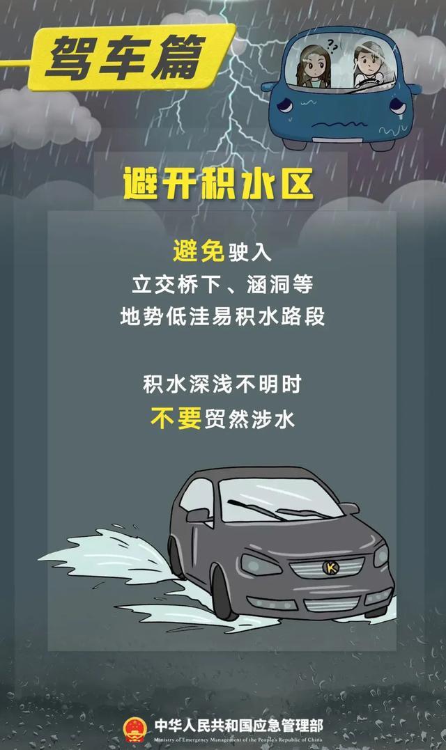 怎么形容一辆车？别再说好看、很快了，这份指南让你秒变懂车帝