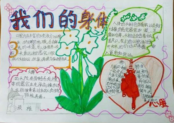 关于生理健康的手抄报/人体生理与健康的手抄报