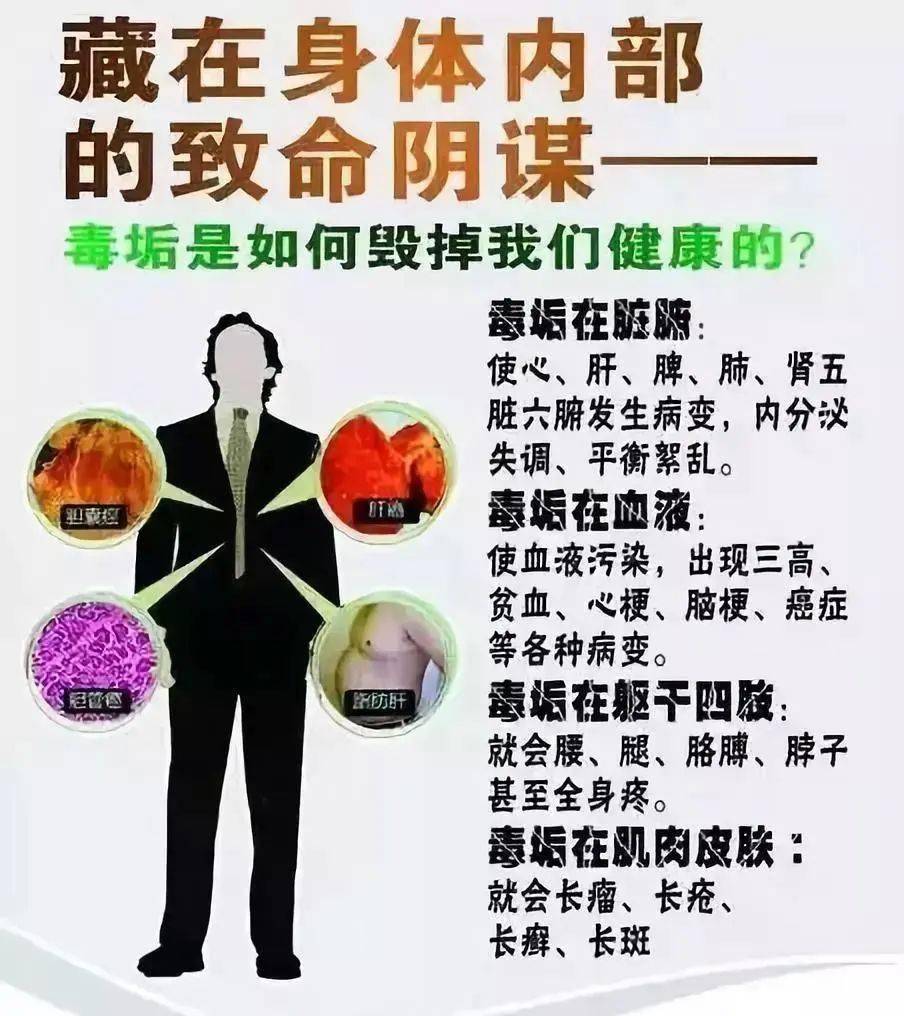 毒垢与健康视频/毒垢与疾病视频原版