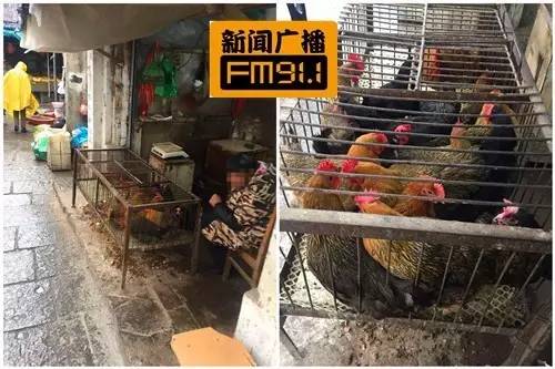 长沙H7N9疫情，那阵子菜市场不卖活鸡了，我才意识到事儿不小