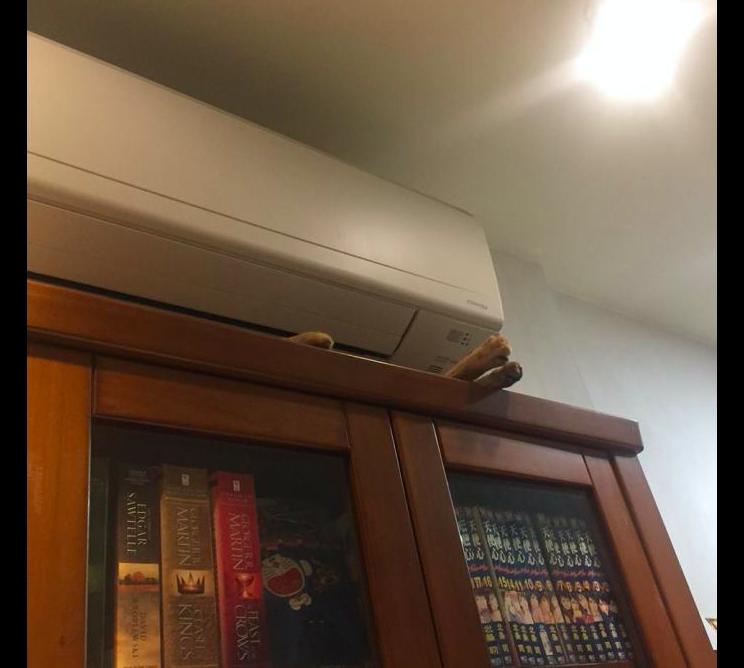 如何安装汽车空调，从零开始，手把手教你搞定车上那点冷气
