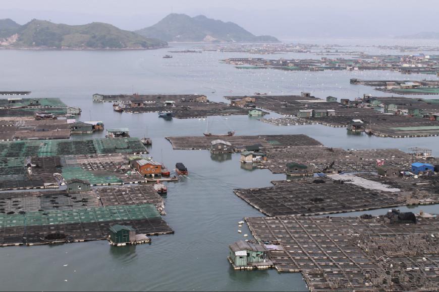 辽宁新增2例本土无症状在大连/辽宁大连现在的温度