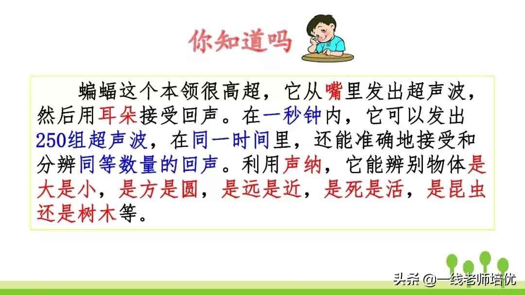雷达怎么看？从蝙蝠到手机，一次把这件事聊明白
