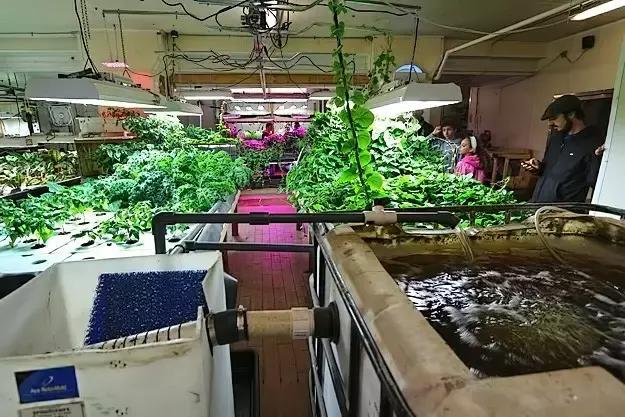 新能源车保险价格一览表，为啥有的车保费八千，有的才三千？
