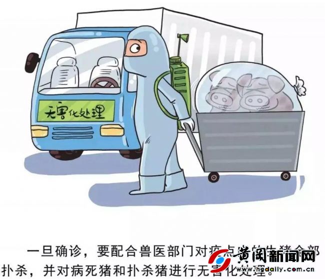 国内疫情最新消息，别慌，先搞清楚这几个关键问题