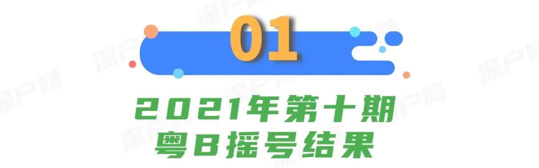手机如何摇车牌号，从新手到中签的完整实操指南