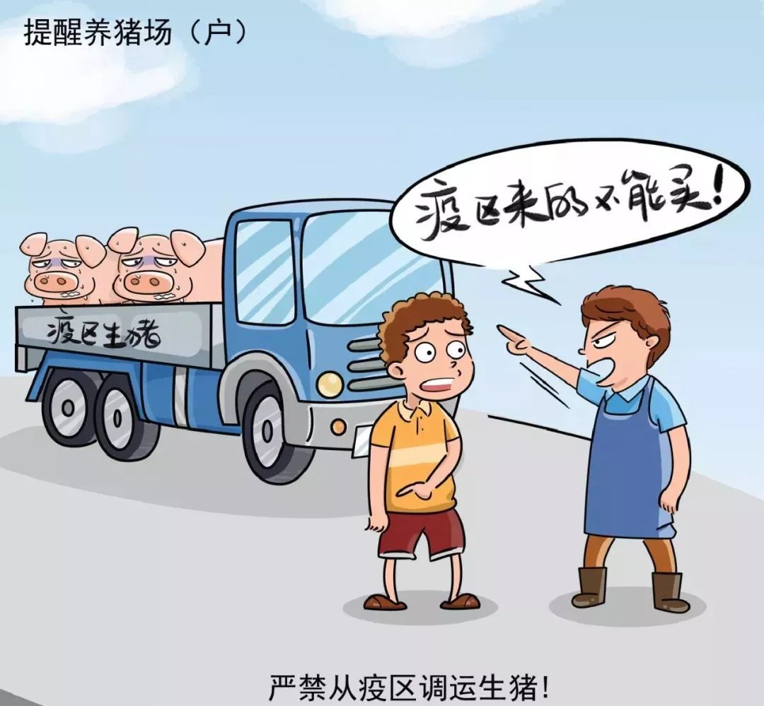 疫情期间去三亚合适吗？我把这事儿掰开揉碎了跟你说
