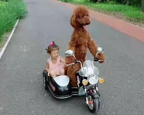 女人骑摩托车，到底图个啥？我观察了三年，有些话不吐不快