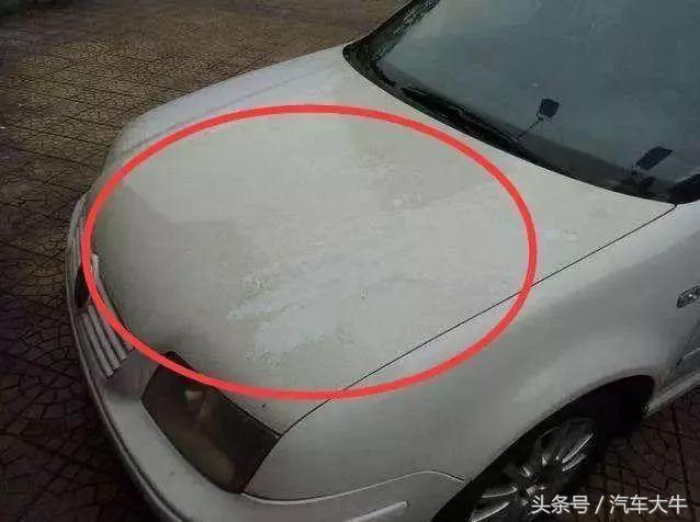 骑摩托车洗车，从泥点到镜面，老骑士手把手教你避坑