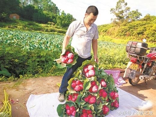 广州市可以骑摩托车吗？这篇文章把能不能骑给你讲透了