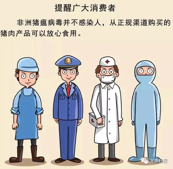 北京发生猪瘟疫情了吗？别慌，我把这事儿给你唠明白